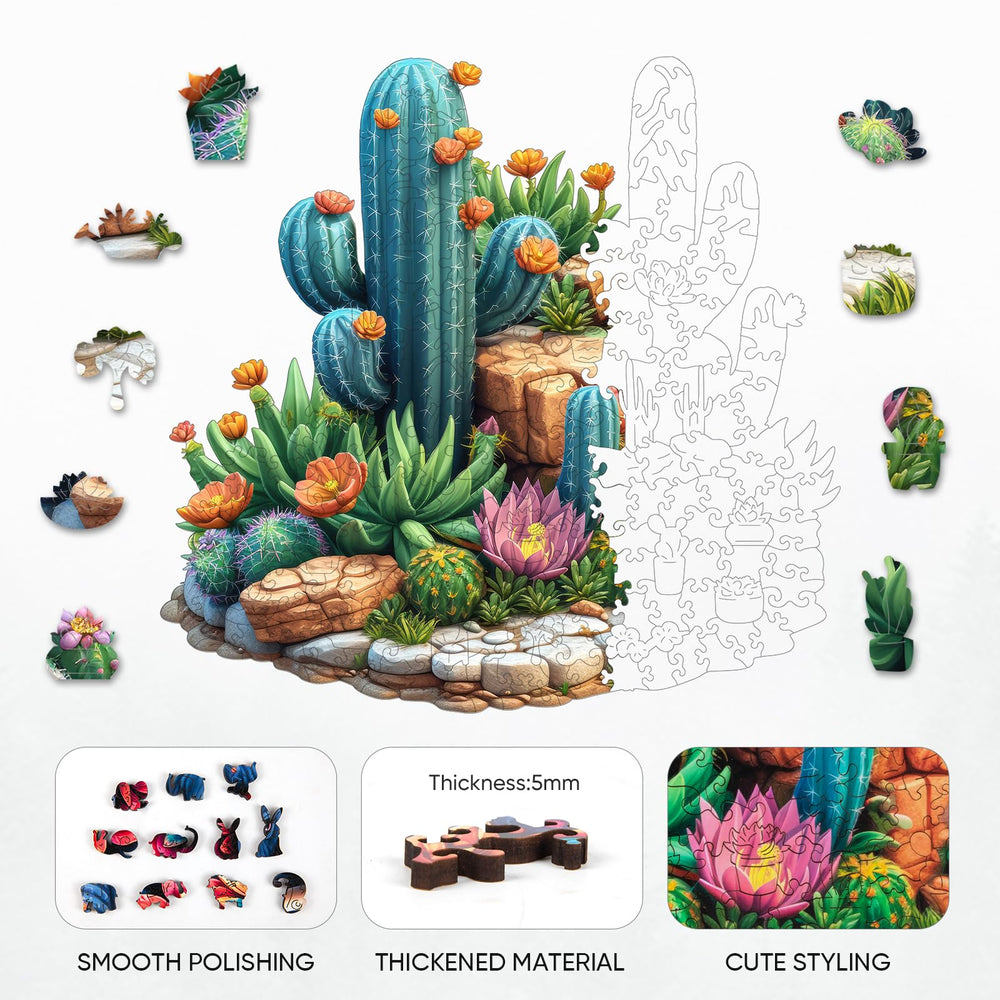 Delobil succulent cactus puzzle wooden box storage and neat packaging