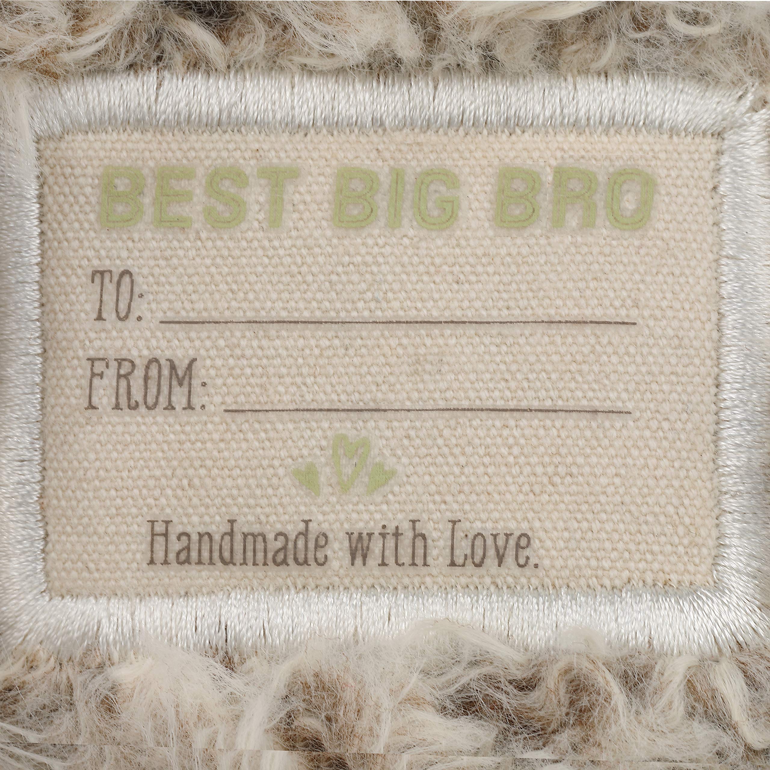 DEMDACO Big Brother Puppy plush, paw and bottom patches emphasize gift meaning