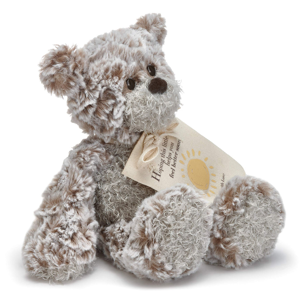 DEMDACO Feel Better Bear close-up face highlights soft fur and friendly, listening expression