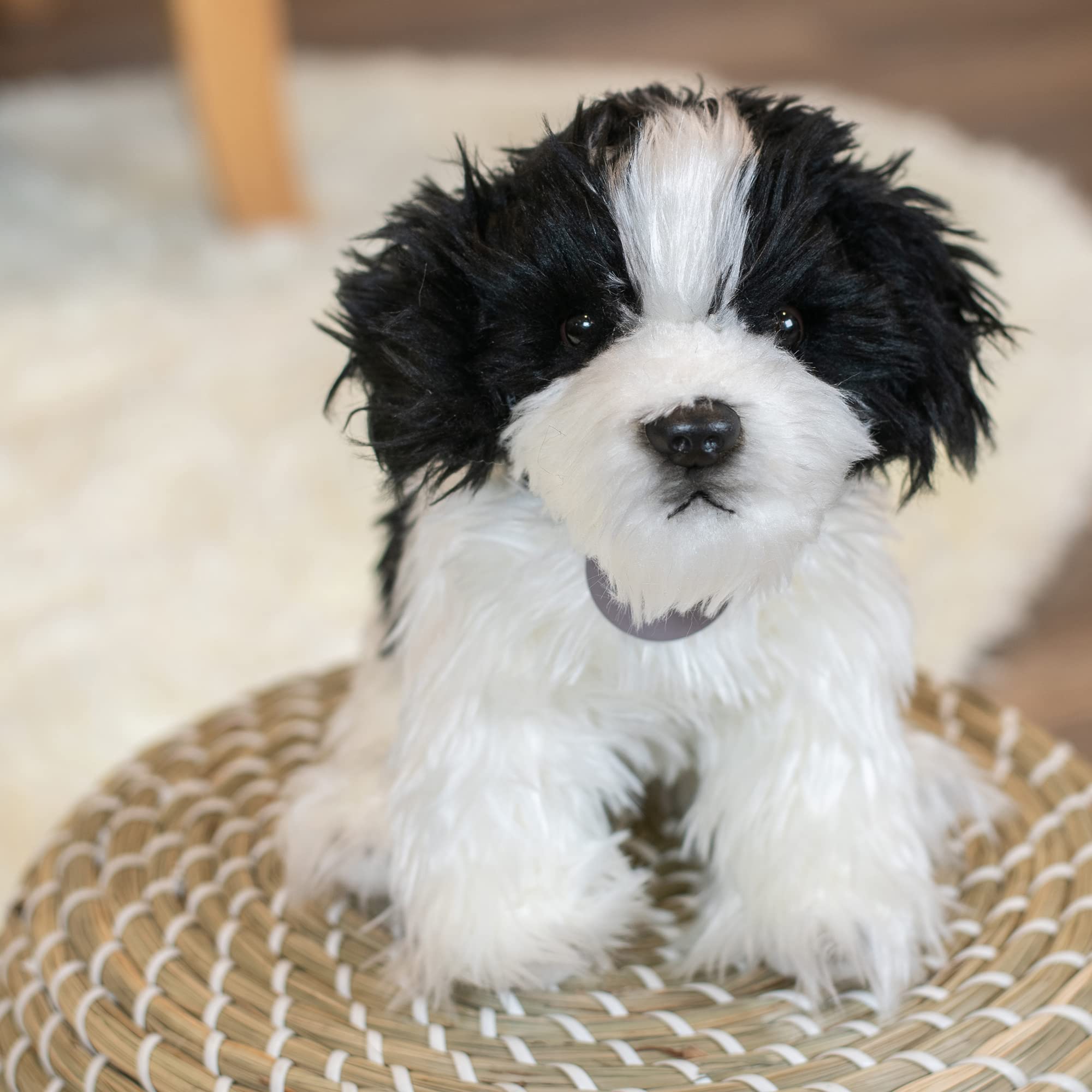 DEMDACO Soft squeezable Havanese plush inviting gentle hugs and imaginative stories.