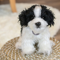 DEMDACO Soft squeezable Havanese plush inviting gentle hugs and imaginative stories.