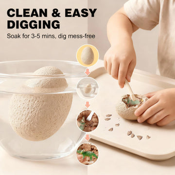 DIDUBUY soak-and-dig setup offers a quick, mess-free excavation experience.