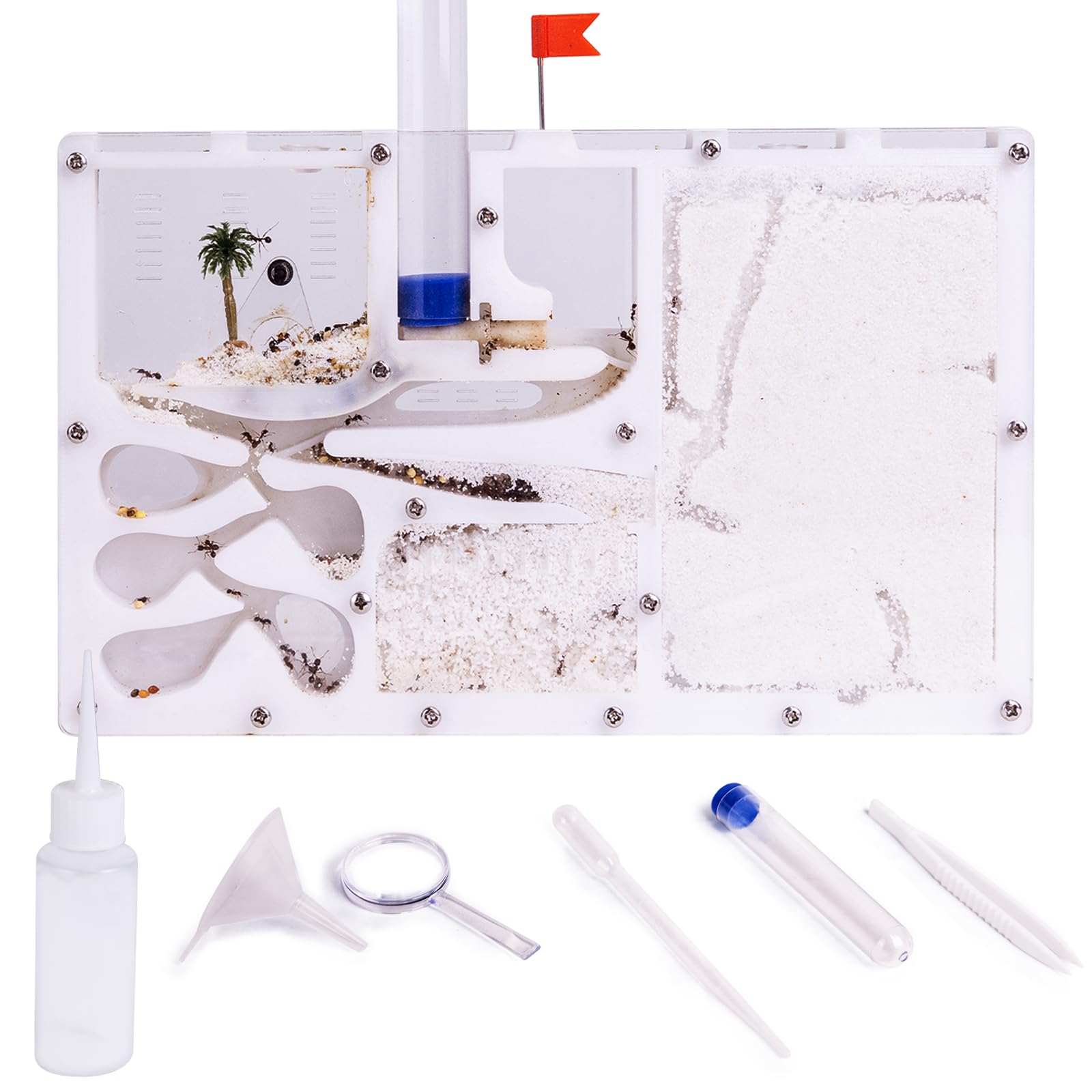DigNew Ant Farming Castle package view for home science learning.