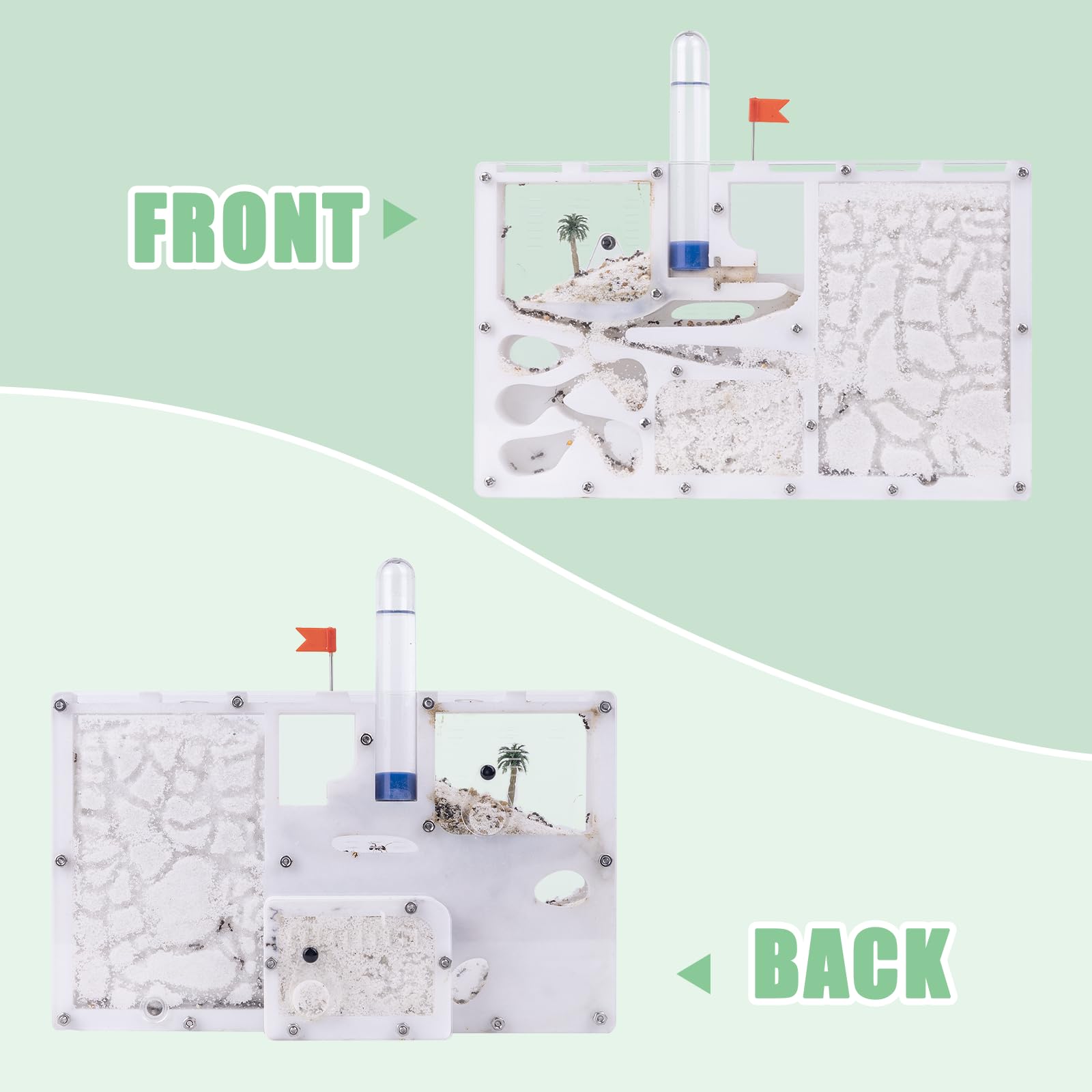 DigNew Ant Habitat Castle educational kit highlights classroom-friendly design.