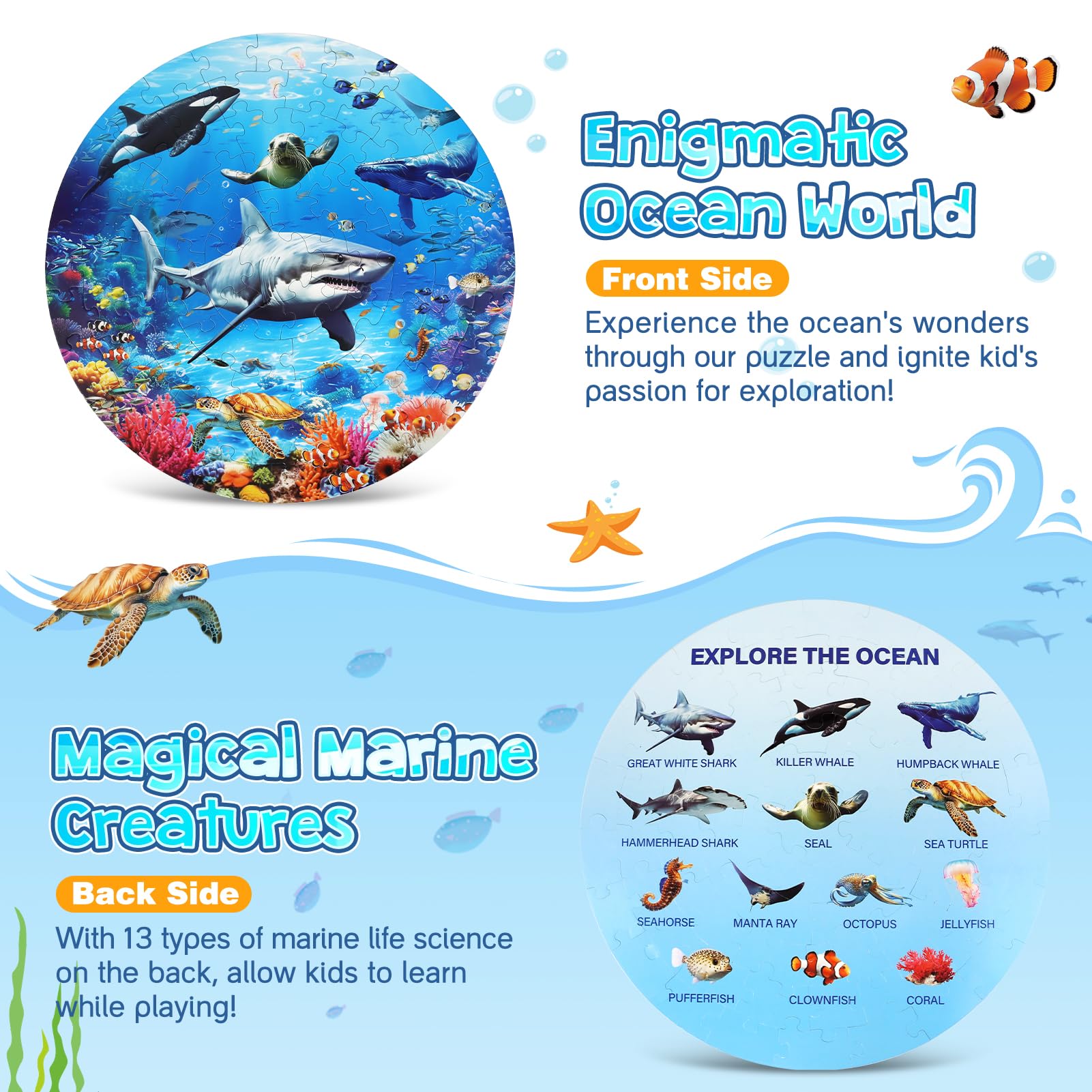 DIGOBAY back-view with marine-science illustrations offers educational prompts during play.