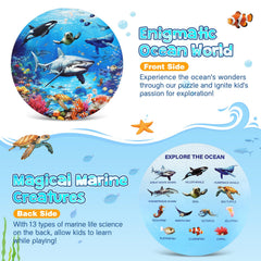 DIGOBAY back-view with marine-science illustrations offers educational prompts during play.