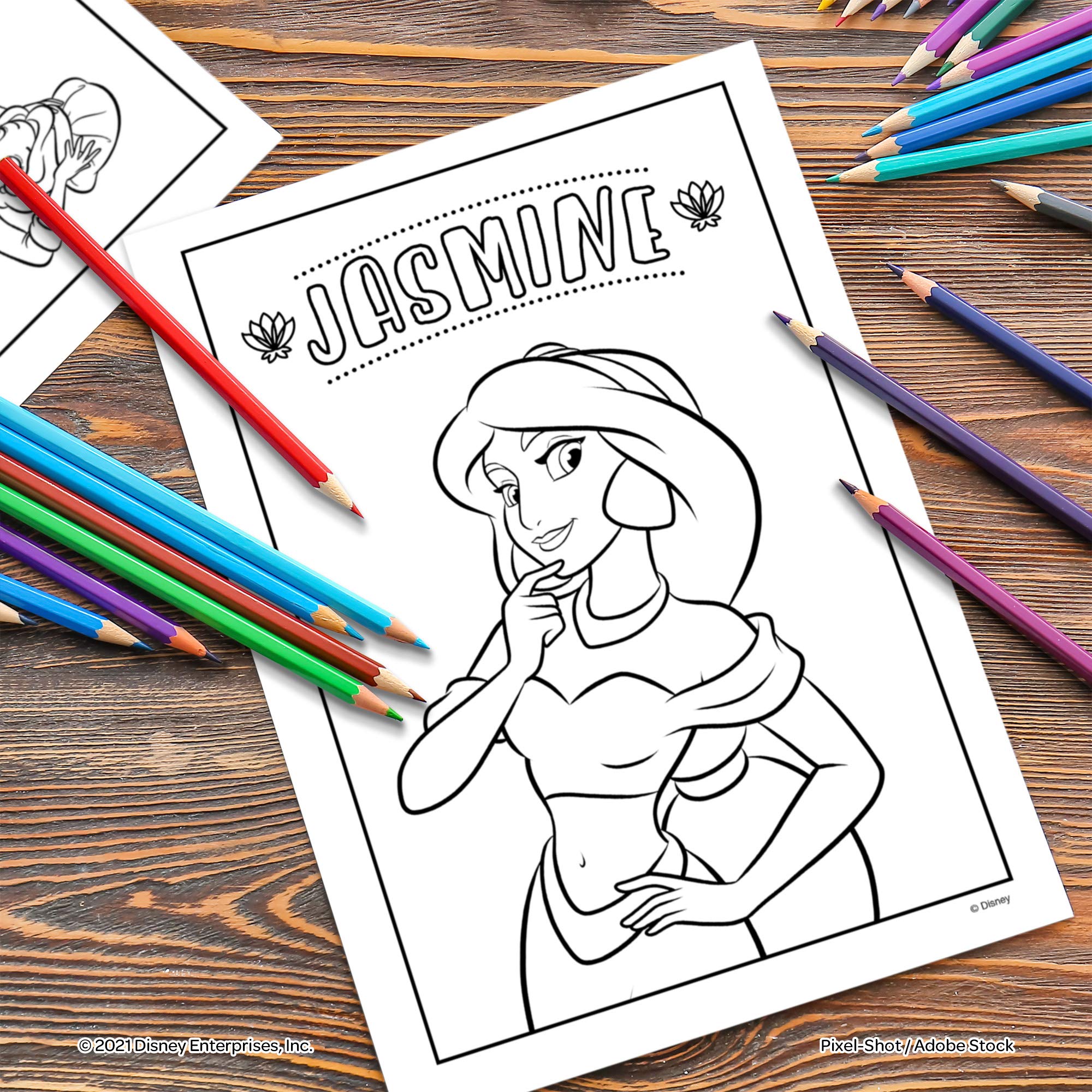 Disney Princess tear-out pages designed for easy display of art projects.
