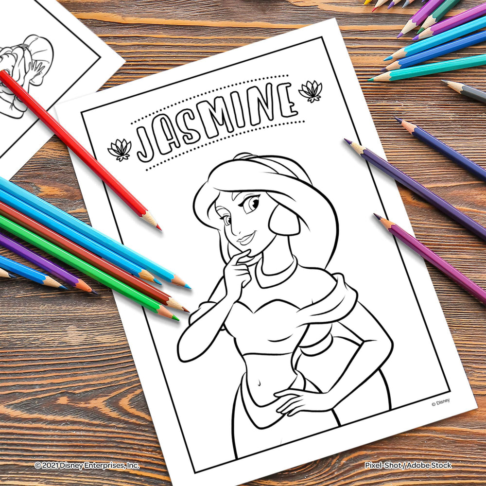 Disney Princess tear-out pages designed for easy display of art projects.