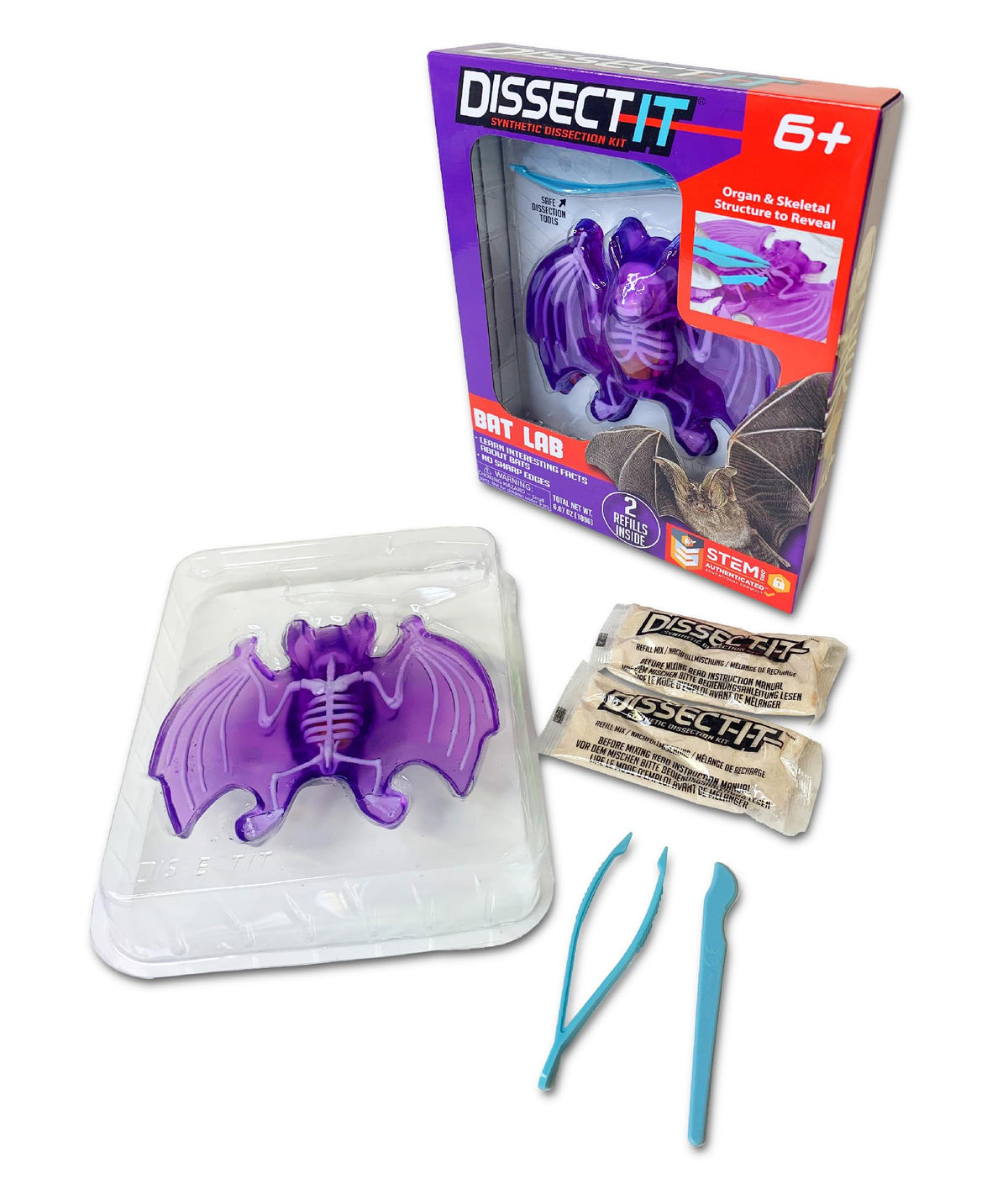Dissect-It bat dissection model for hands-on biology exploration at home