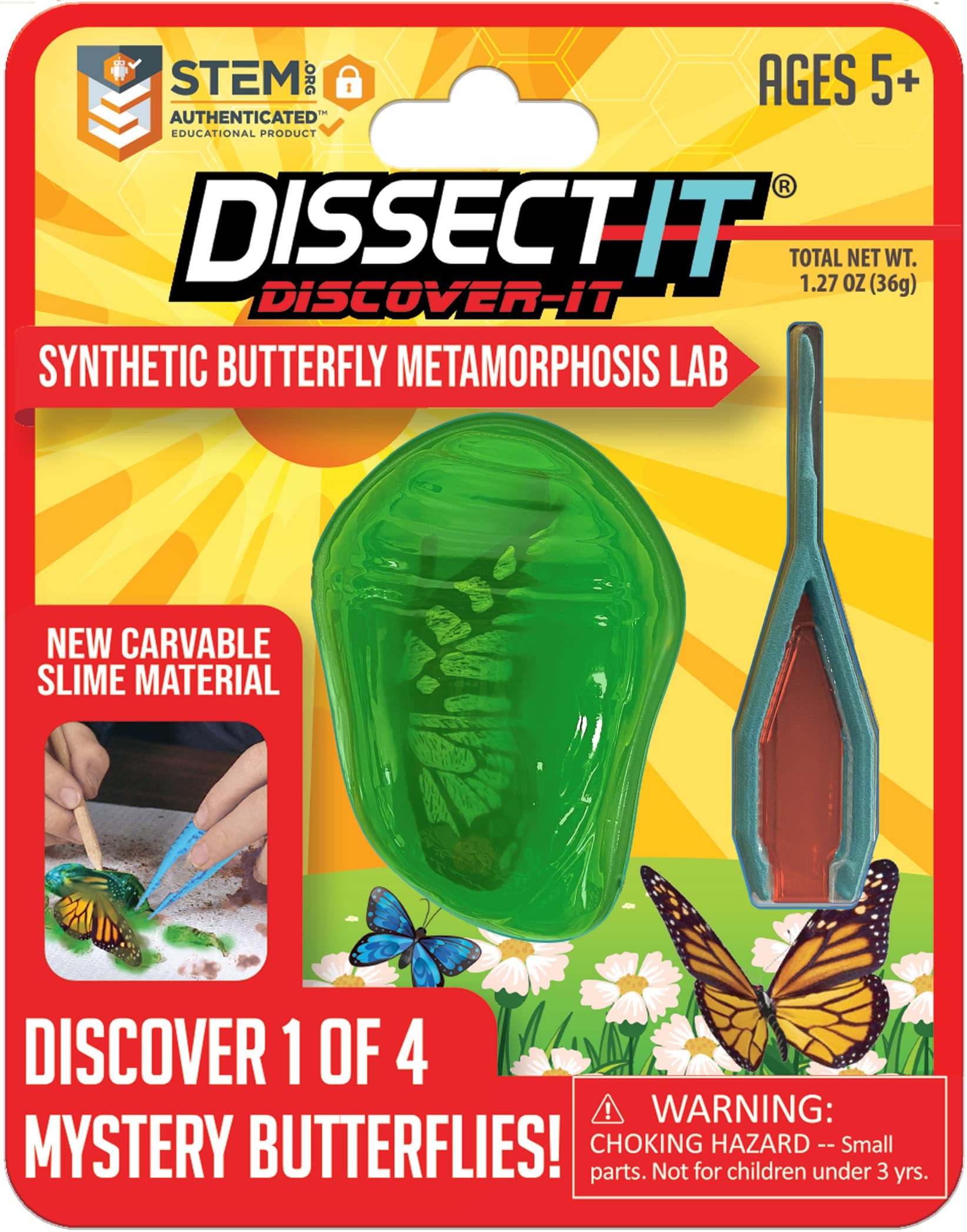 Dissect It Discover-It butterfly gel specimen for safe, hands-on exploration