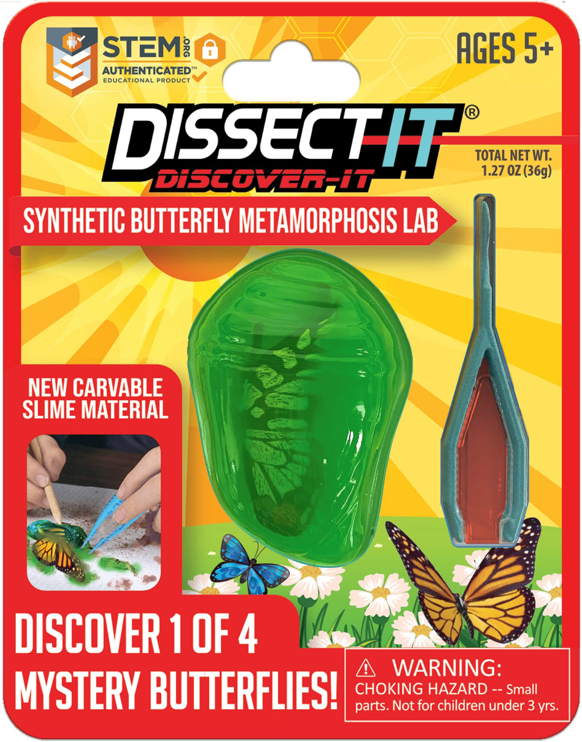 Dissect It Discover-It butterfly gel specimen for safe, hands-on exploration