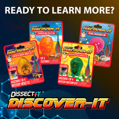 Dissect It Discover-It butterfly toy inside sparks curiosity and play