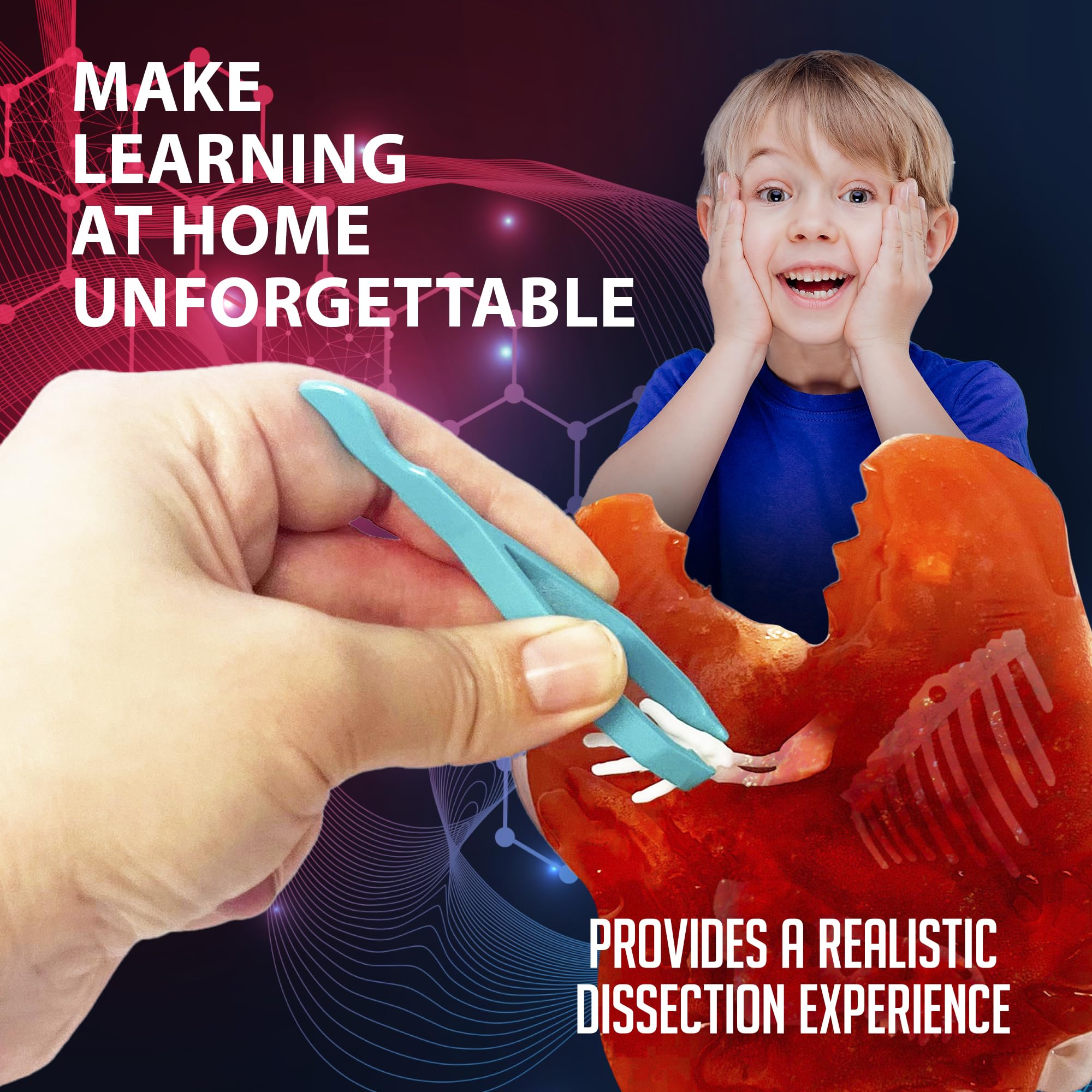 Dissect It bone identification mat helps match discoveries during the dig.