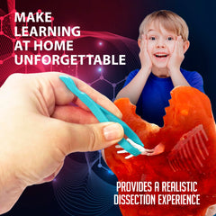 Dissect It bone identification mat helps match discoveries during the dig.