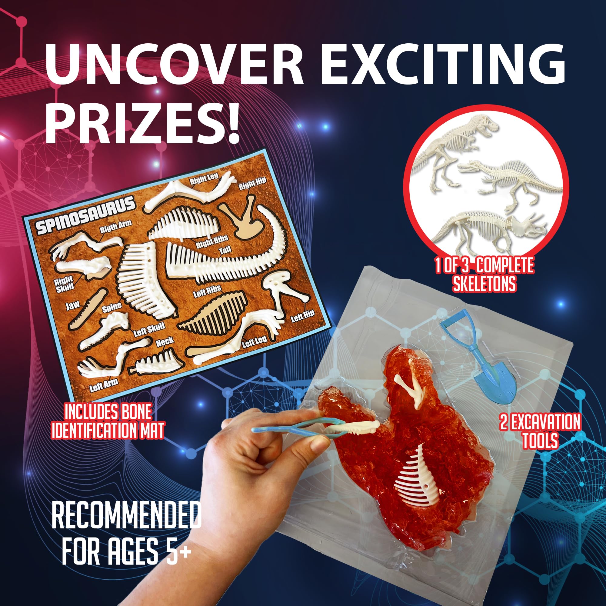 Dissect It Discover-It dinosaur skeleton model enables hands-on anatomy exploration.