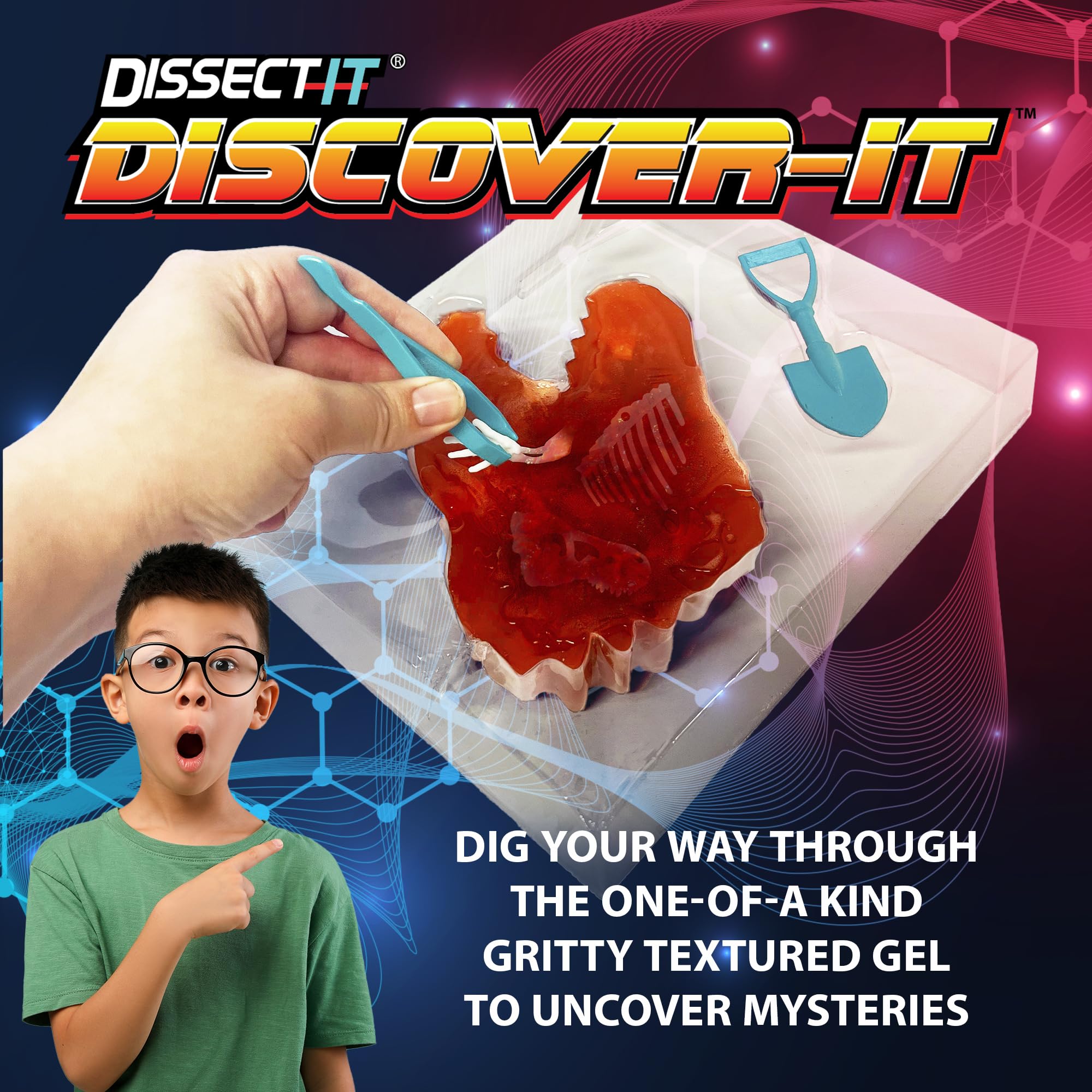 Dissect It Discover-It discovery tools in use for precise bone excavation at home.