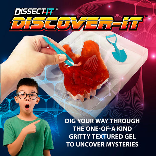 Dissect It Discover-It discovery tools in use for precise bone excavation at home.