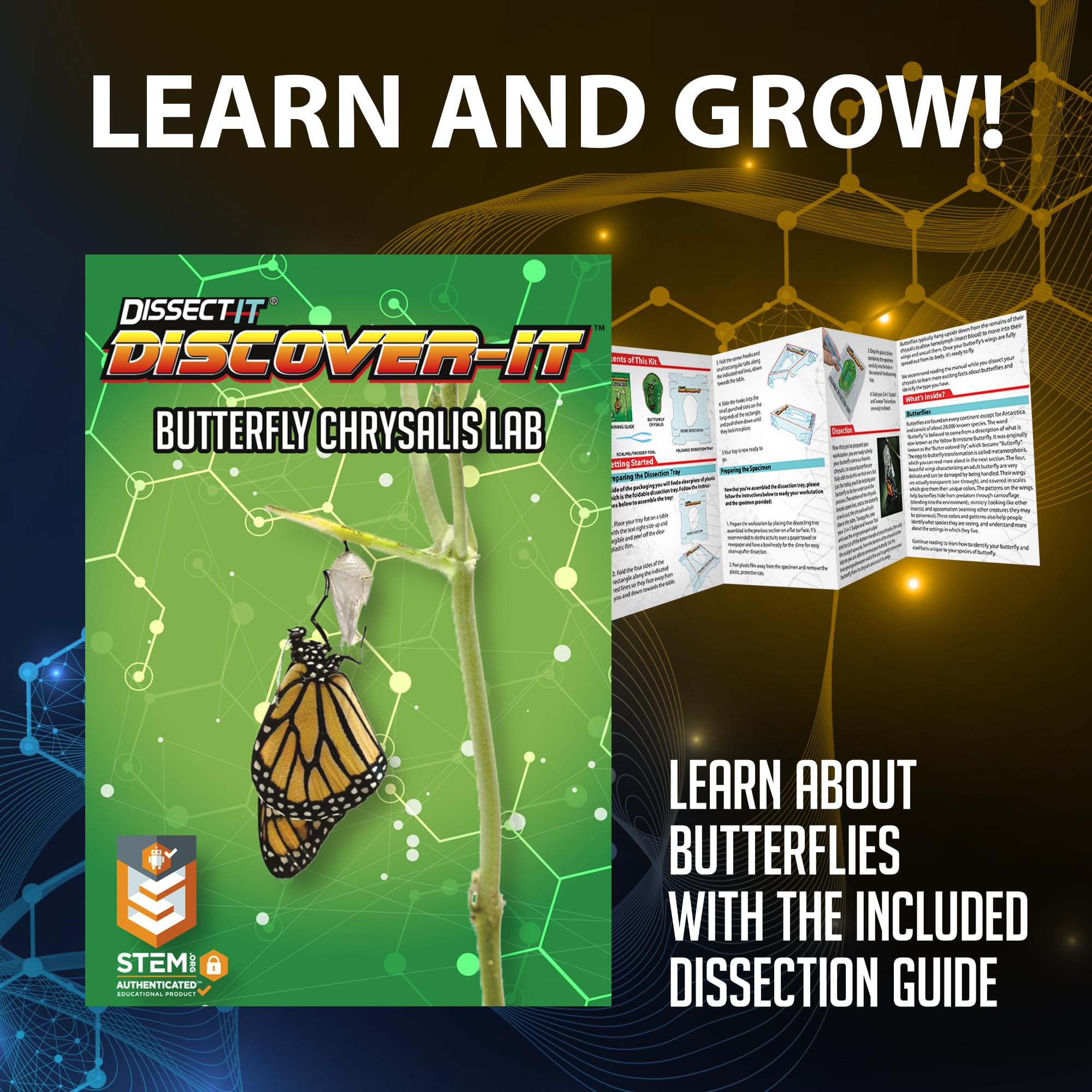 Dissect It Discover-It eight-page learning guide enhances metamorphosis knowledge