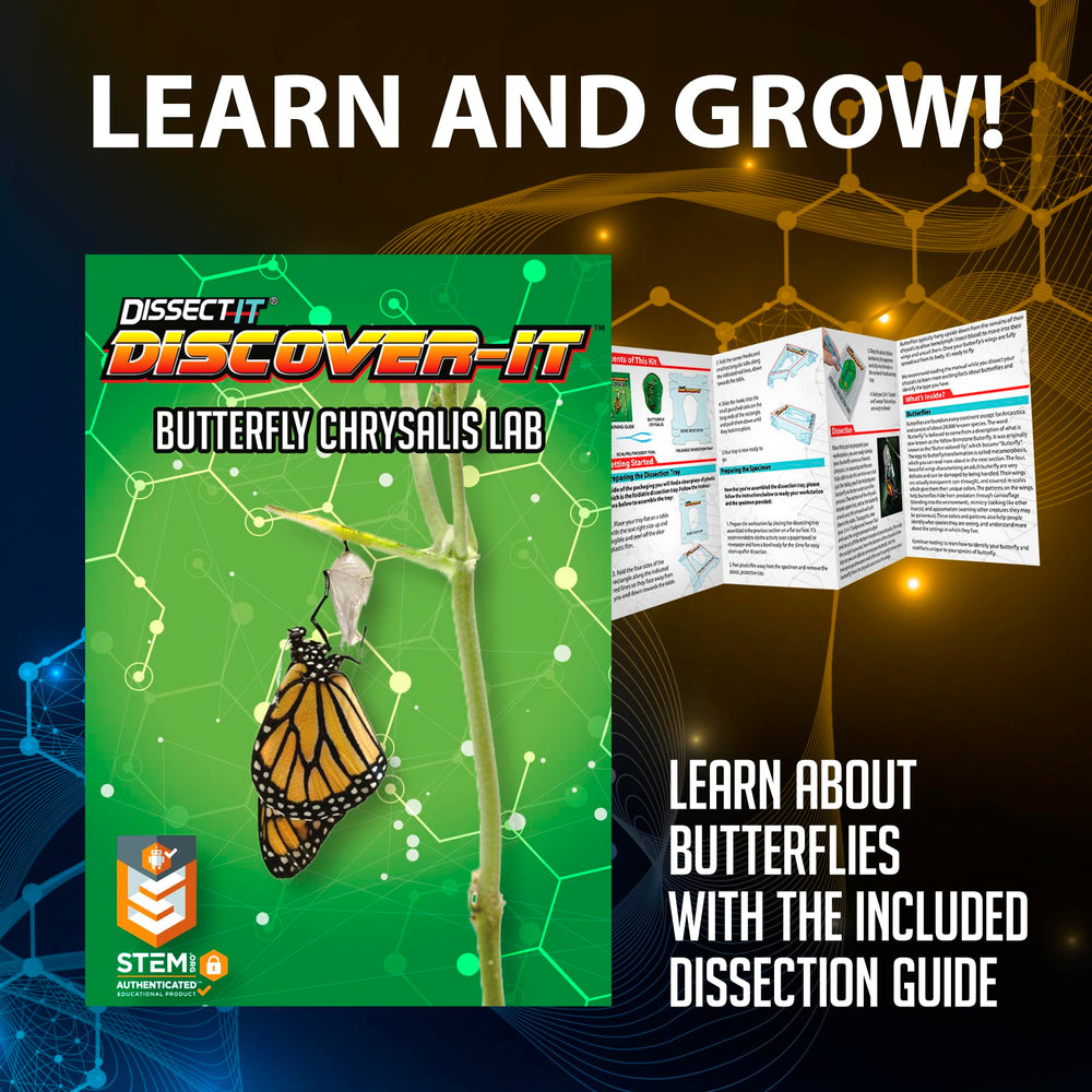 Dissect It Discover-It eight-page learning guide enhances metamorphosis knowledge