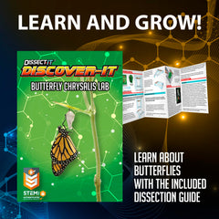 Dissect It Discover-It eight-page learning guide enhances metamorphosis knowledge