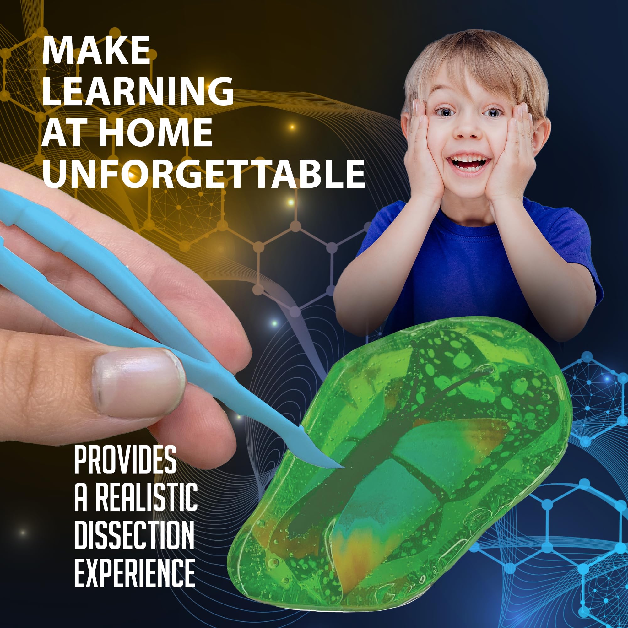 Dissect It Discover-It synthetic cocoon reveals butterfly toy inside