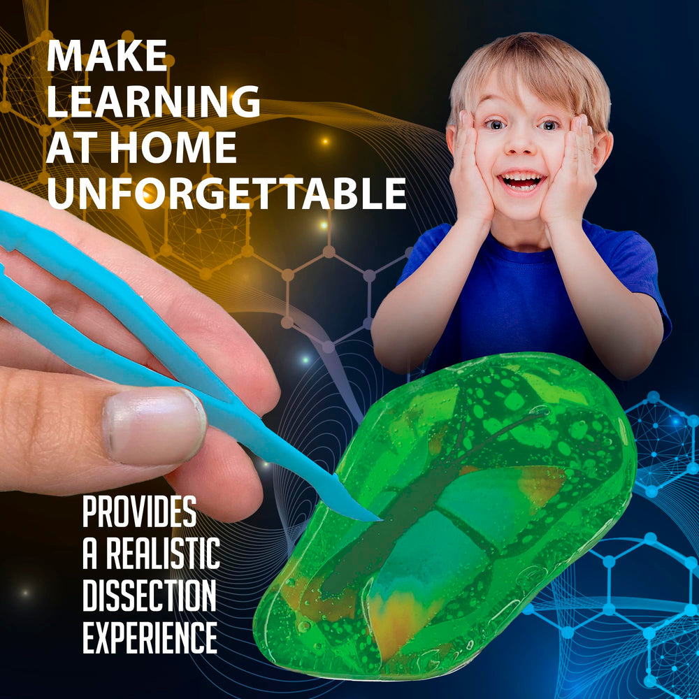 Dissect It Discover-It synthetic cocoon reveals butterfly toy inside