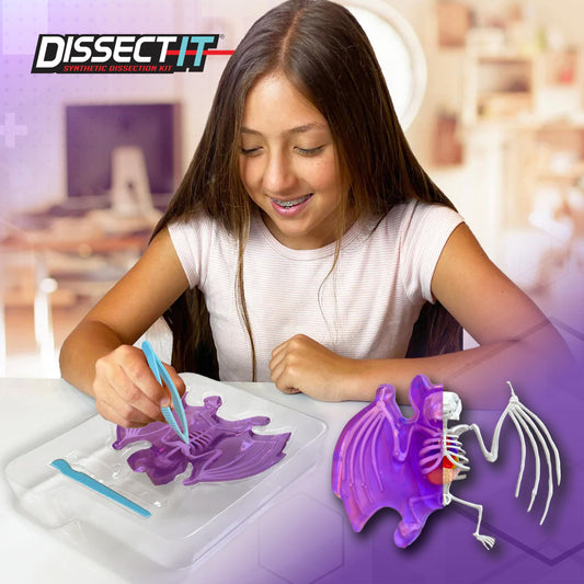 Dissect-It dissecting tray keeps tools stable for mess-free projects