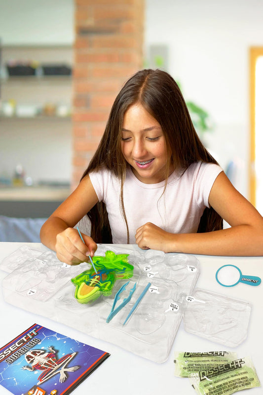 Dissect It Kids Kit carvable model ready for realistic frog anatomy exploration