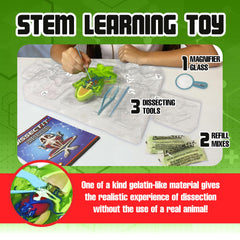 Plastic dissection tools from Dissect It Kit designed for safe, precise use by kids