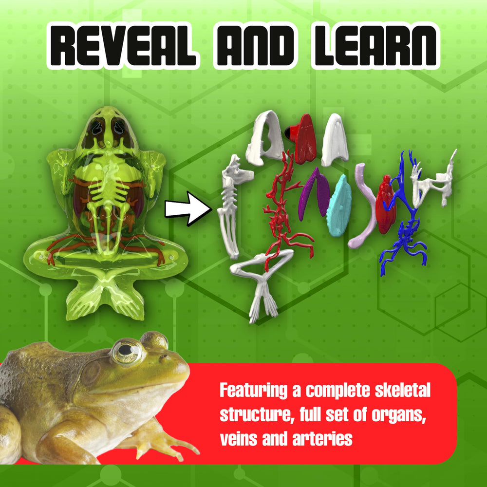 Refill gel packs from Dissect It Kit support extended hands-on science exploration
