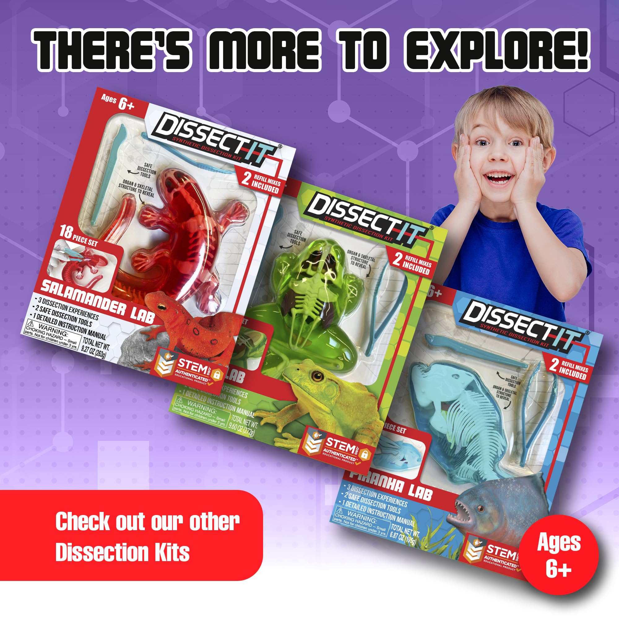Dissect-It kid-friendly home learning kit for STEM exploration