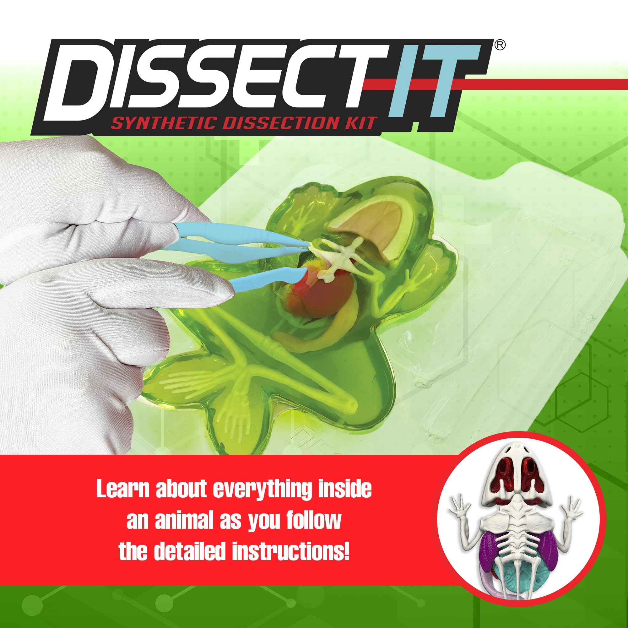 Dissect It dissecting-tray keeps activities tidy and mess-free.