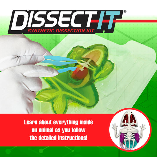 Dissect It dissecting-tray keeps activities tidy and mess-free.