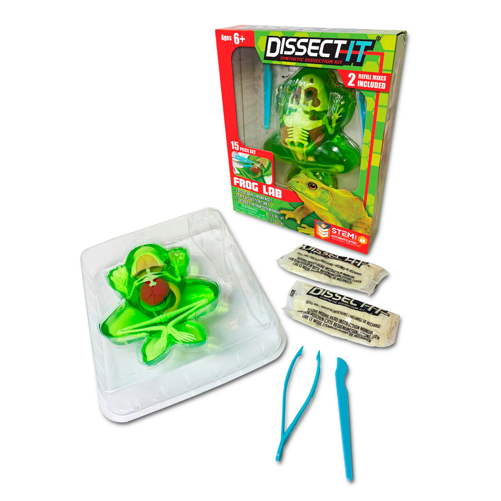 Dissect It frog-model for hands-on anatomy exploration in a safe classroom.