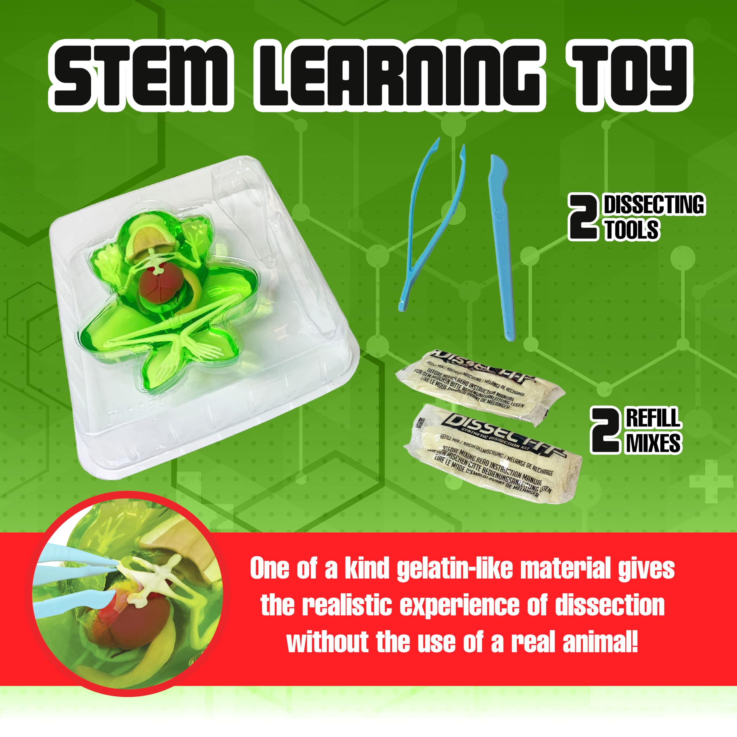 Dissect It plastic-tools enable precise dissections for young learners.