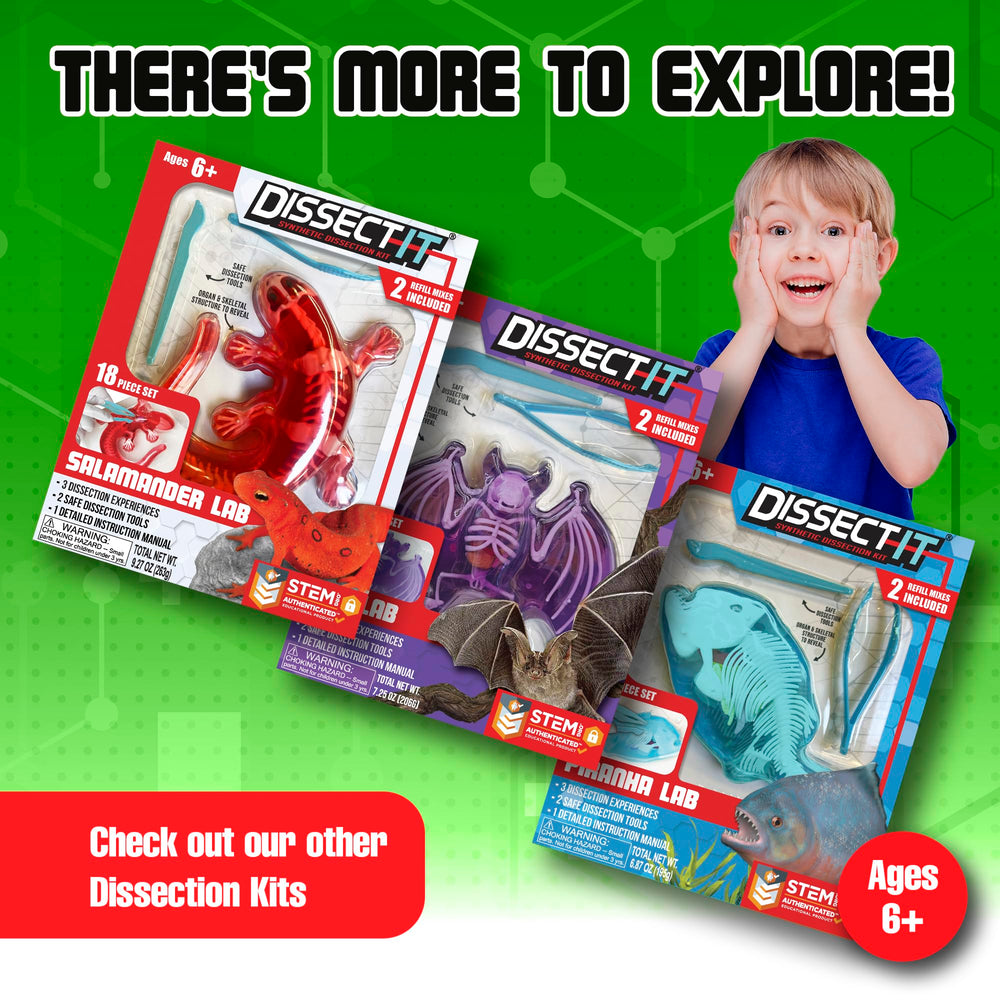 Dissect It synthetic-material frog delivers odor-free, safe learning experiences.