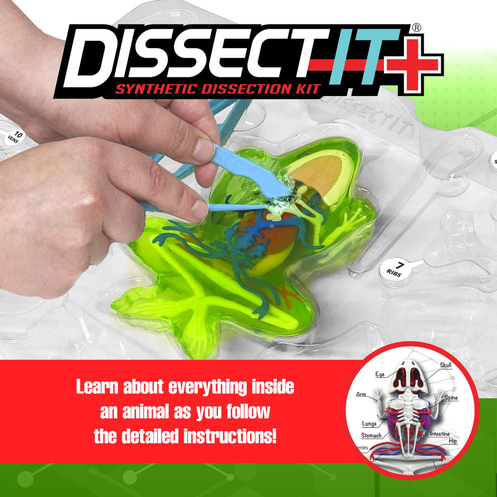 Dissect It Kit dissecting tray and tools arranged for mess-free learning setup