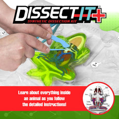 Dissect It Kit dissecting tray and tools arranged for mess-free learning setup