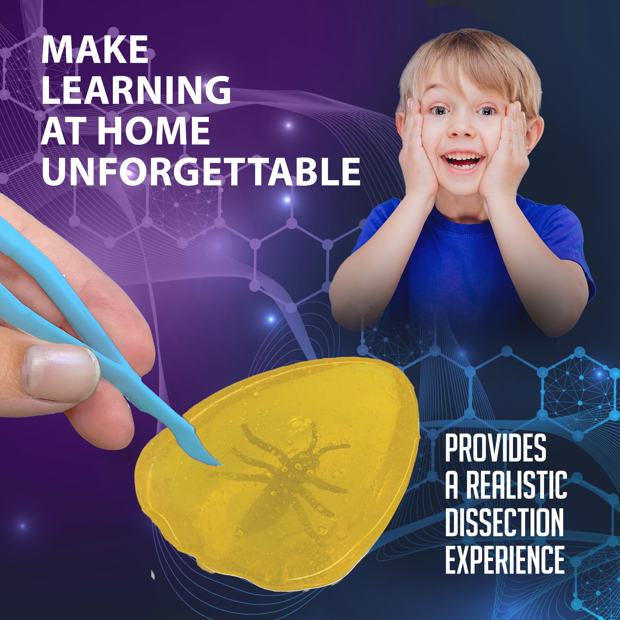 Dissect It Discover-It learning guide expands amber and insect science concepts.