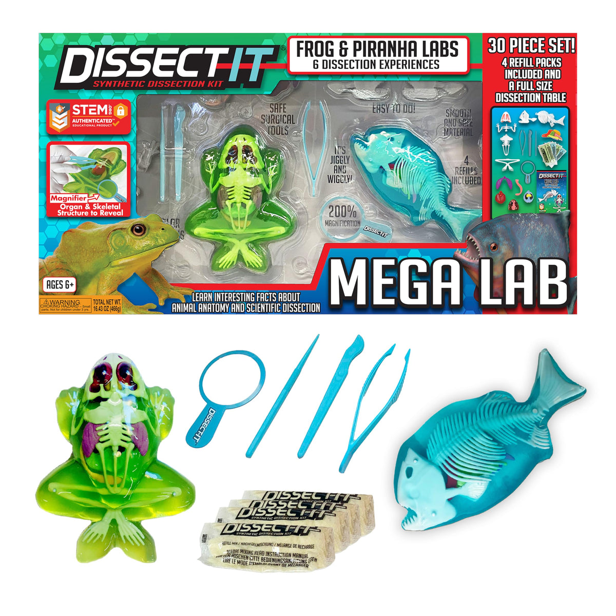 Dissect It Mega Lab Frog model with full skeleton for hands-on biology