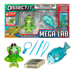 Dissect It Mega Lab Frog model with full skeleton for hands-on biology