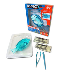 Dissect-It Piranha on a dissection table for safe, odor-free learning.