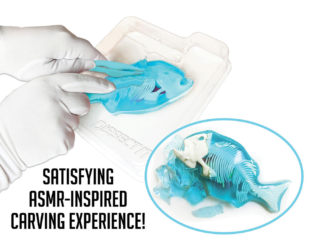 Dissect-It Piranha refill kit enables repeated practice and exploration.