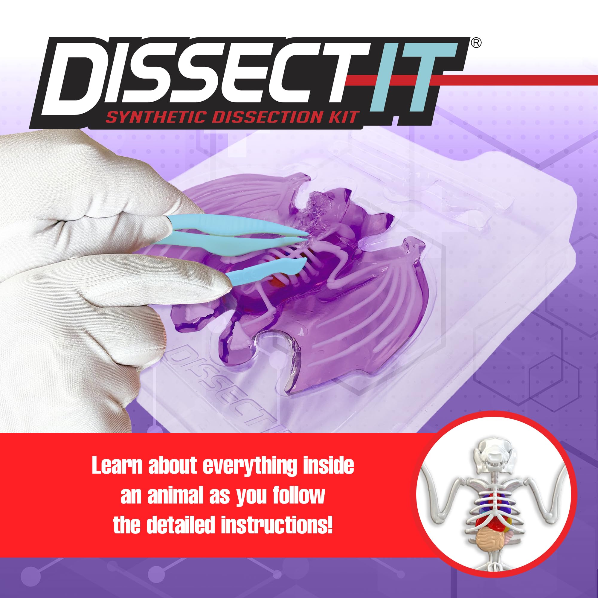 Dissect-It plastic tools for safe, precise anatomy exploration