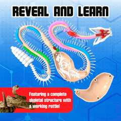 Dissect It color instruction manual guides step-by-step dissection.