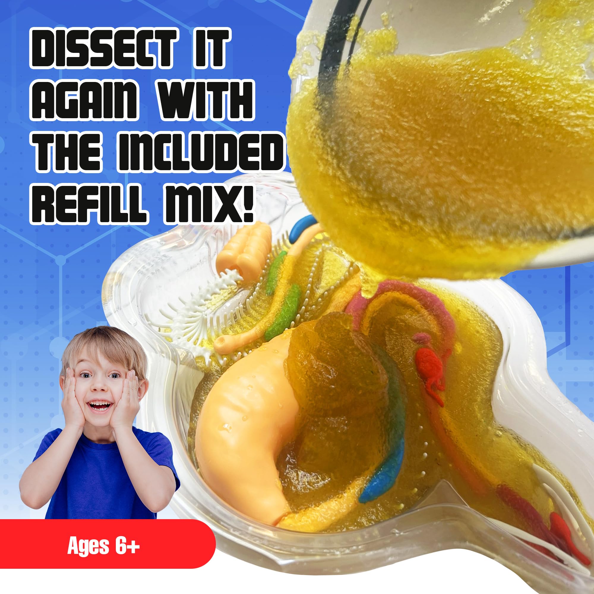 Dissect It dissection tray keeps experiments tidy and mess-free.