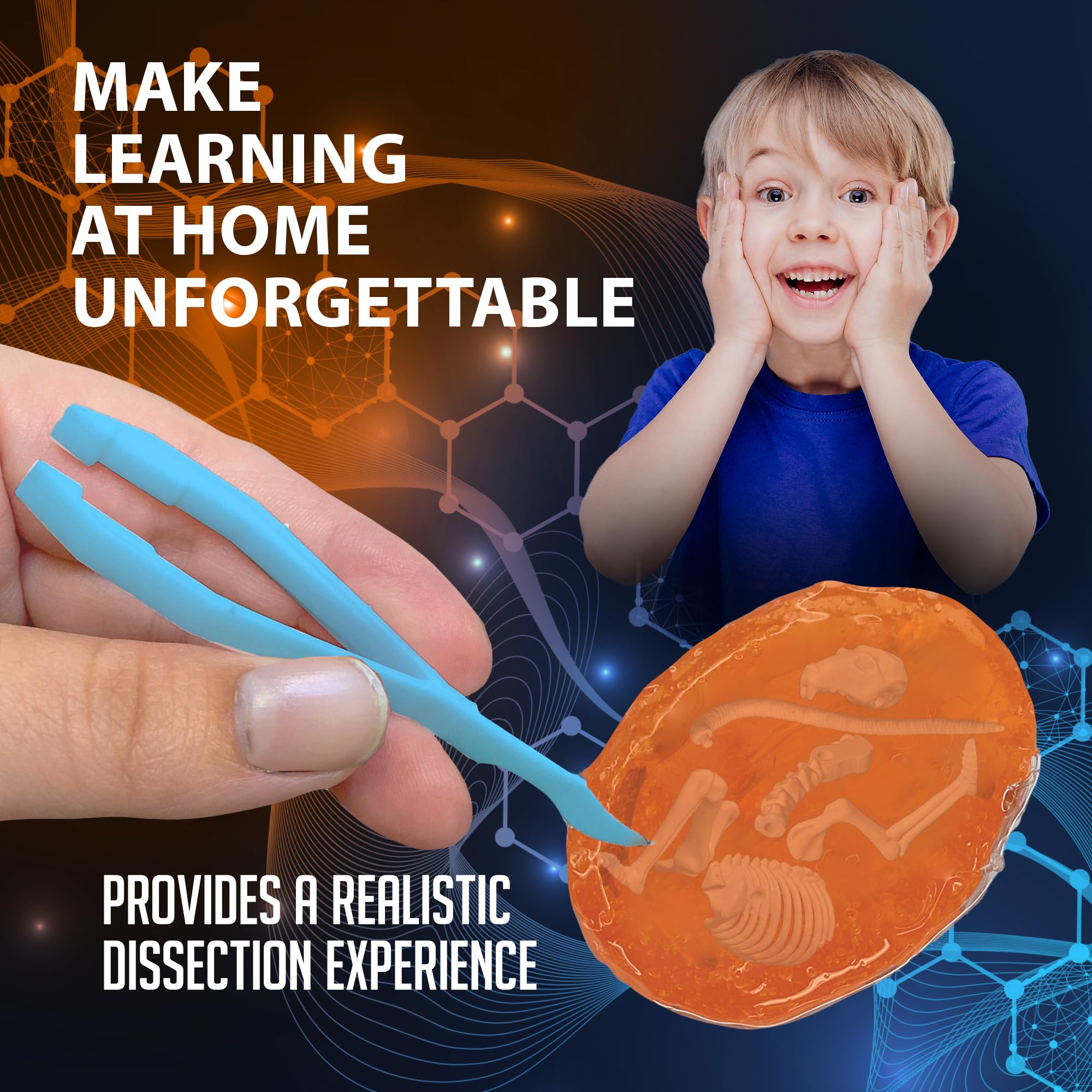 Dissect It safe, odor-free science kit designed for kids ages 5 and up
