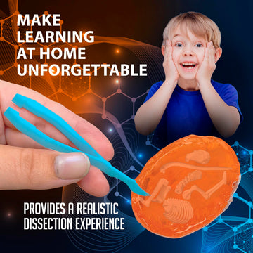 Dissect It safe, odor-free science kit designed for kids ages 5 and up