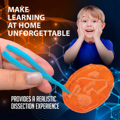 Dissect It safe, odor-free science kit designed for kids ages 5 and up