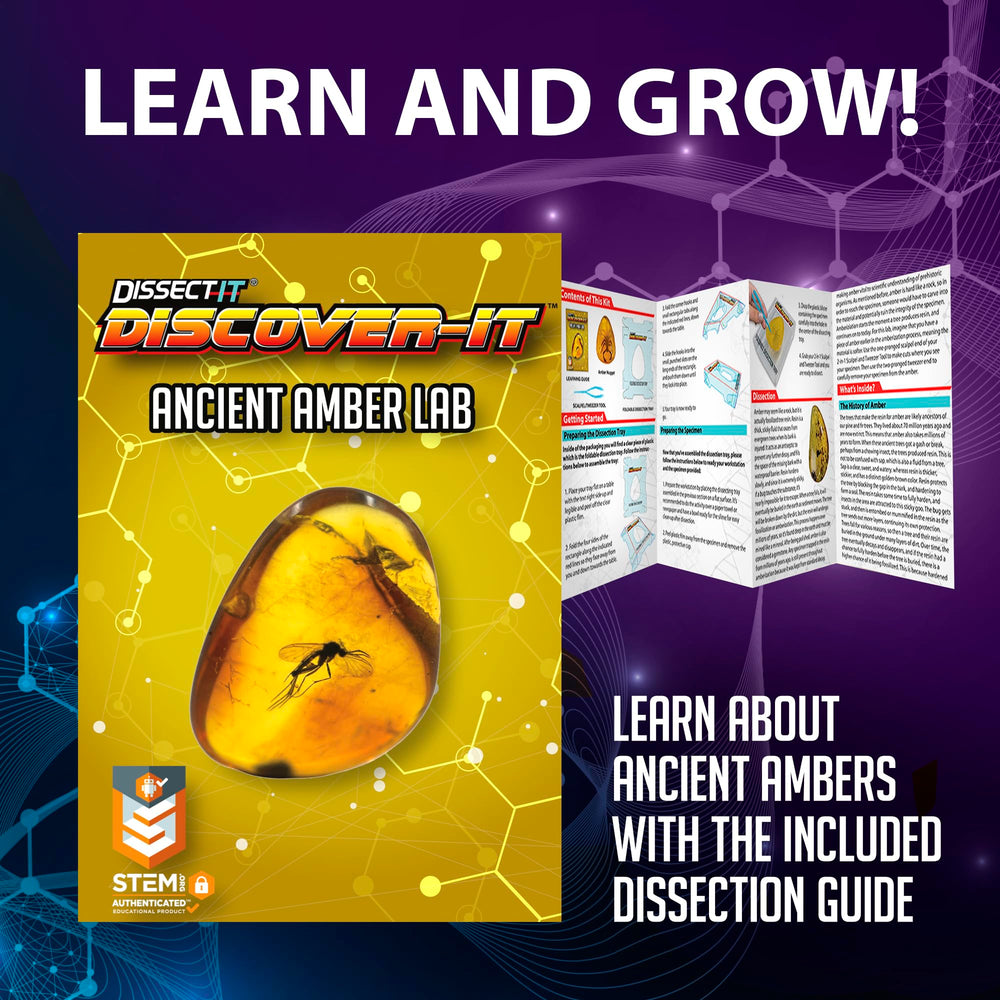 Dissect It Discover-It safety-focused tools ensure odor-free kid-friendly exploration.